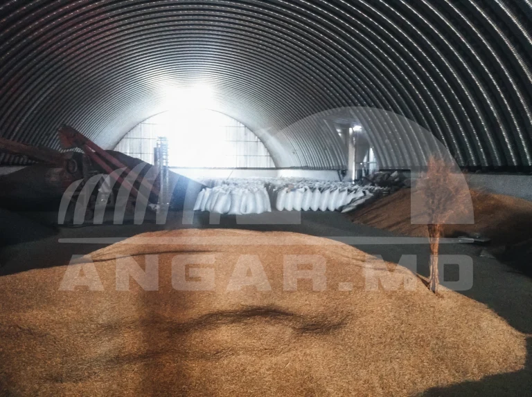CARAHASANI-AGRO SRL  – fotografia 5