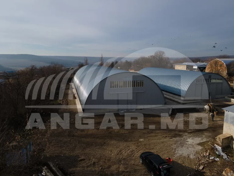 Alfa-nistru-2023-angarmd-2