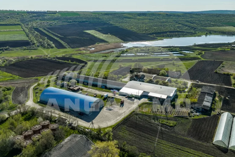 agro-nova-hangar-remirotund-angar-8