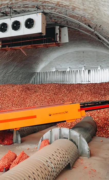 Depozit frigorific cu legume într-un hangar semirotund