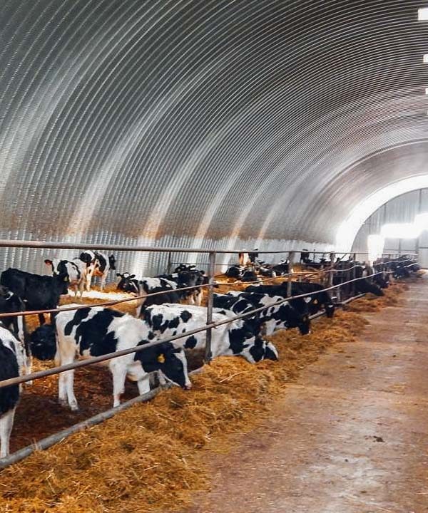 ferma-animale-depozite-metalice-semirotunde